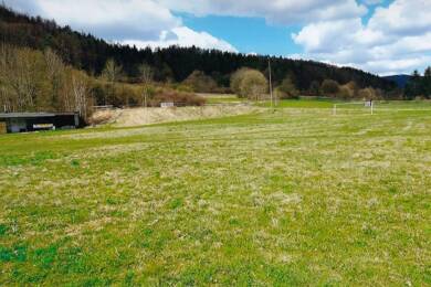 Grundstück zum Kauf 30.000 € 3.722 m² Grundstück Grümpen Frankenblick 96528