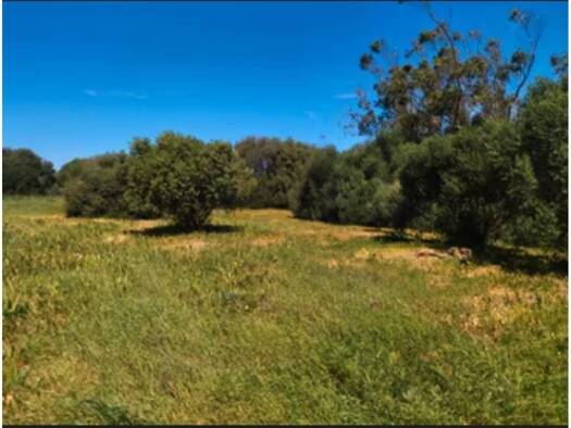 Bauernhaus zum Kauf 400.000 € 4 Zimmer 200 m² 600 m² Grundstück Barbate 11160