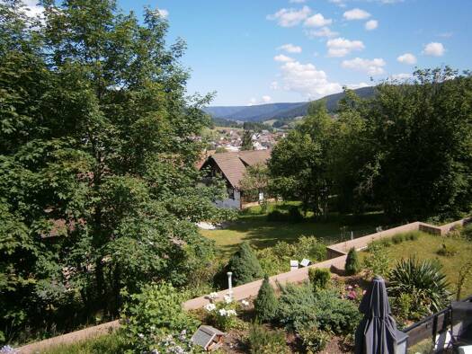 Terrassenwohnung zur Miete 430 € 1 Zimmer 38 m² Geschoss 3/6 frei ab 01.08.2026 Klosterreichenbach Baiersbronn 72270
