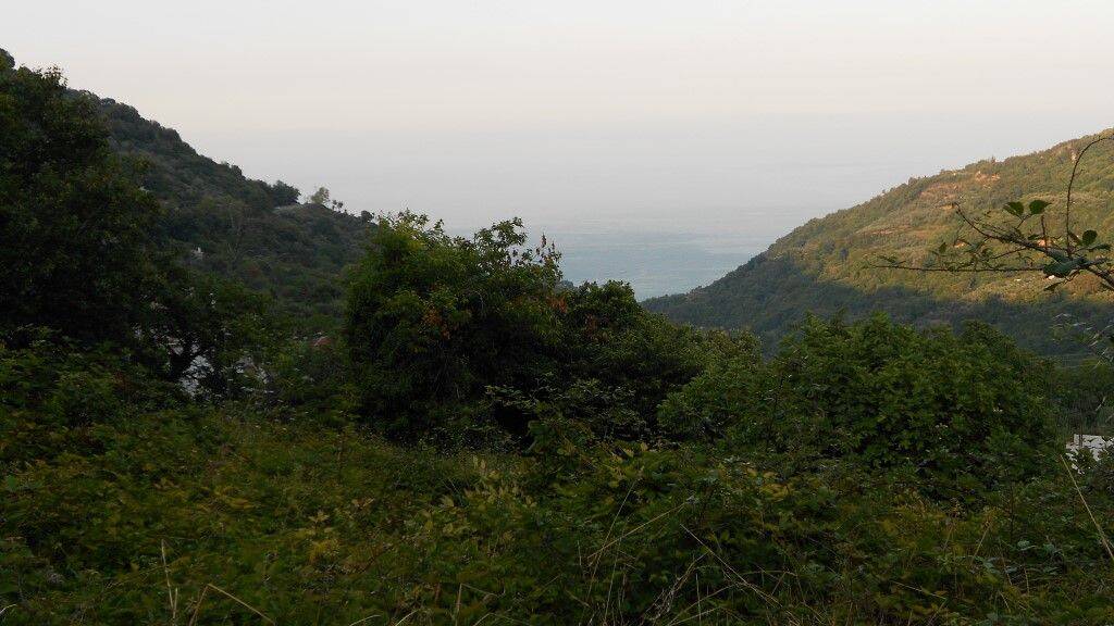 Land-/Forstwirtschaft zum Kauf 75.000 € 5.000 m² Grundstück Pilion