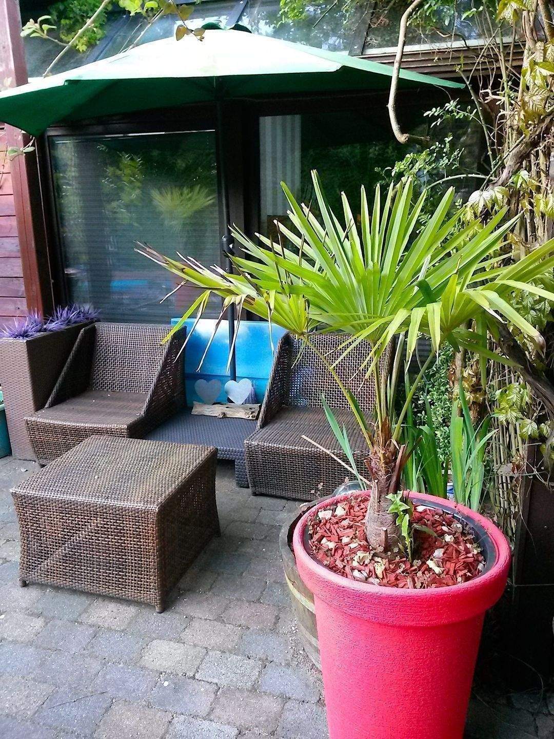 Property thumbnail 5