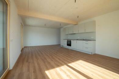Wohnung zur Miete - Neubau 1.445 € 3,5 Zimmer 105 m² 1. Geschoss frei ab sofort Balingen Balingen 72336