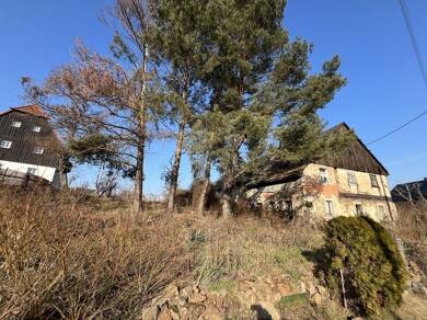 Mehrfamilienhaus zum Kauf als Kapitalanlage geeignet 500.000 € 1.000 m² 3.350 m² Grundstück Dorfstraße 9 Zaschendorf Dresden 01328