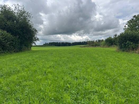 Grundstück zum Kauf provisionsfrei 585.000 € 751 m² Grundstück Eggstätt 83125