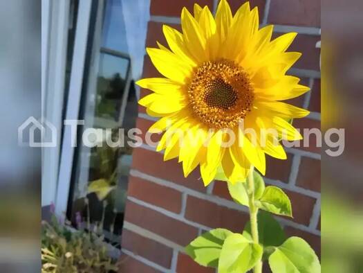 Wohnung zur Miete Tauschwohnung 430 € 2 Zimmer 55 m² 2. Geschoss Geist Münster 48153