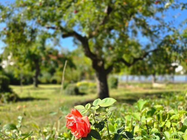 Grundstück zum Kauf provisionsfrei 215.107 € 652 m² Grundstück Johann-Sebastian-Bach-Straße Emskirchen 91448