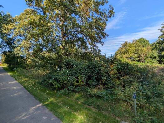 Grundstück zum Kauf 64.900 € 1.579 m² Grundstück frei ab sofort Goldenitz Warlitz 19230