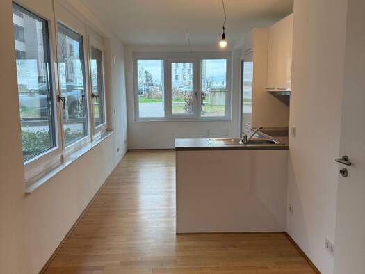 Wohnung zur Miete 650 € 2 Zimmer 54,5 m² EG Hageberg Mitte-West 38446