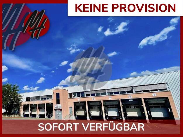 Lagerhalle zur Miete provisionsfrei 3.500 m² Lagerfläche Schwetzingen 68723