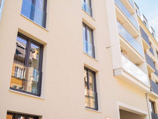 Wohnung zur Miete - Erstbezug 727 € 2 Zimmer 64,4 m² EG frei ab 01.06.2026 Friedensstraße 41f Leipziger Vorstadt Dresden 01097