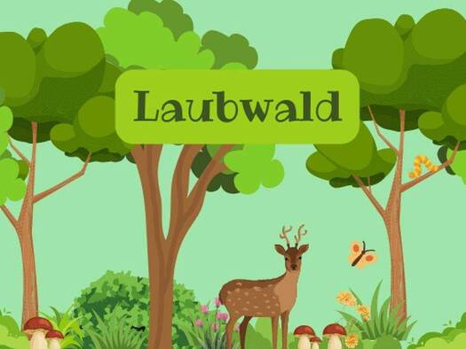 Land-/Forstwirtschaft zum Kauf provisionsfrei 21.600 € 3.600 m² Grundstück Rankendorf 23936