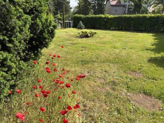 Grundstück zum Kauf 165.000 € 542 m² Grundstück Coswig 01640