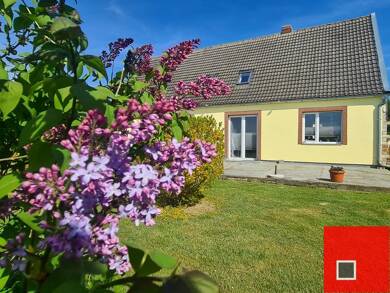 Einfamilienhaus zum Kauf 239.000 € 7 Zimmer 191,8 m² 1.627 m² Grundstück Lassentin Niepars 18442