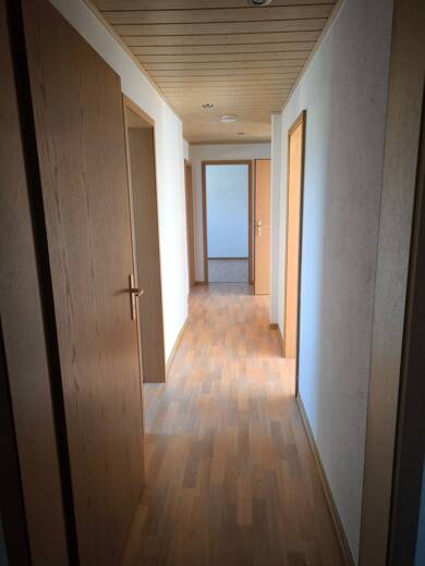 Wohnung zur Miete 368 € 3 Zimmer 61,3 m² 1. Geschoss frei ab sofort Kesselshainer Straße 40 Borna Borna 04552
