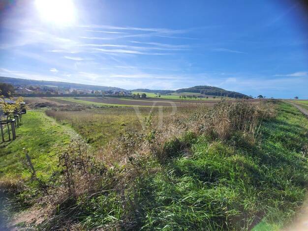 Gewerbegrundstück zum Kauf 375.000 € 9.050 m² Grundstück Wassenach 56633