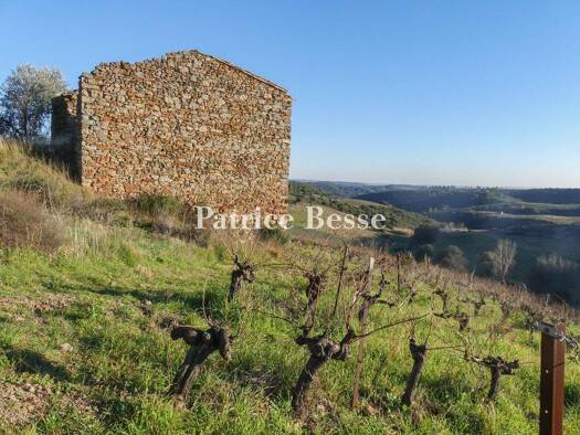 Reihenmittelhaus zum Kauf 890.000 € 12 Zimmer 183 m² 829 m² Grundstück Allées Paul Riquet Béziers 34500