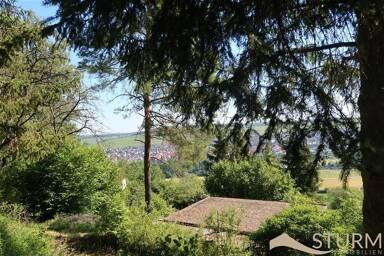 Freizeitgrundstück kaufen in Zellingen immowelt