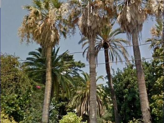 Villa zum Kauf 5.000.000 € 50 Zimmer 3.500 m² 3.500 m² Grundstück Sanremo 18038