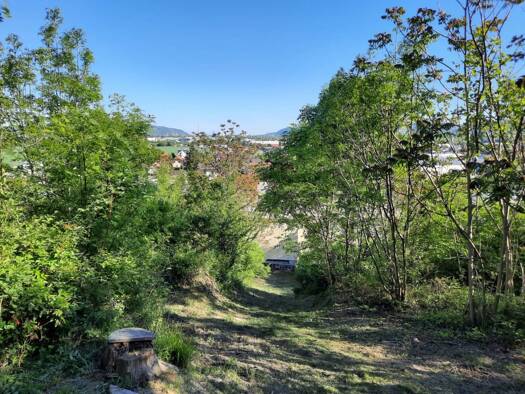 Grundstück zum Kauf 850.000 € 5.046 m² Grundstück Leobendorf 2100