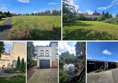 Mehrfamilienhaus zum Kauf 999.800 € 8 Zimmer 550 m² 11.699 m² Grundstück Holzhausen Leipzig 04288