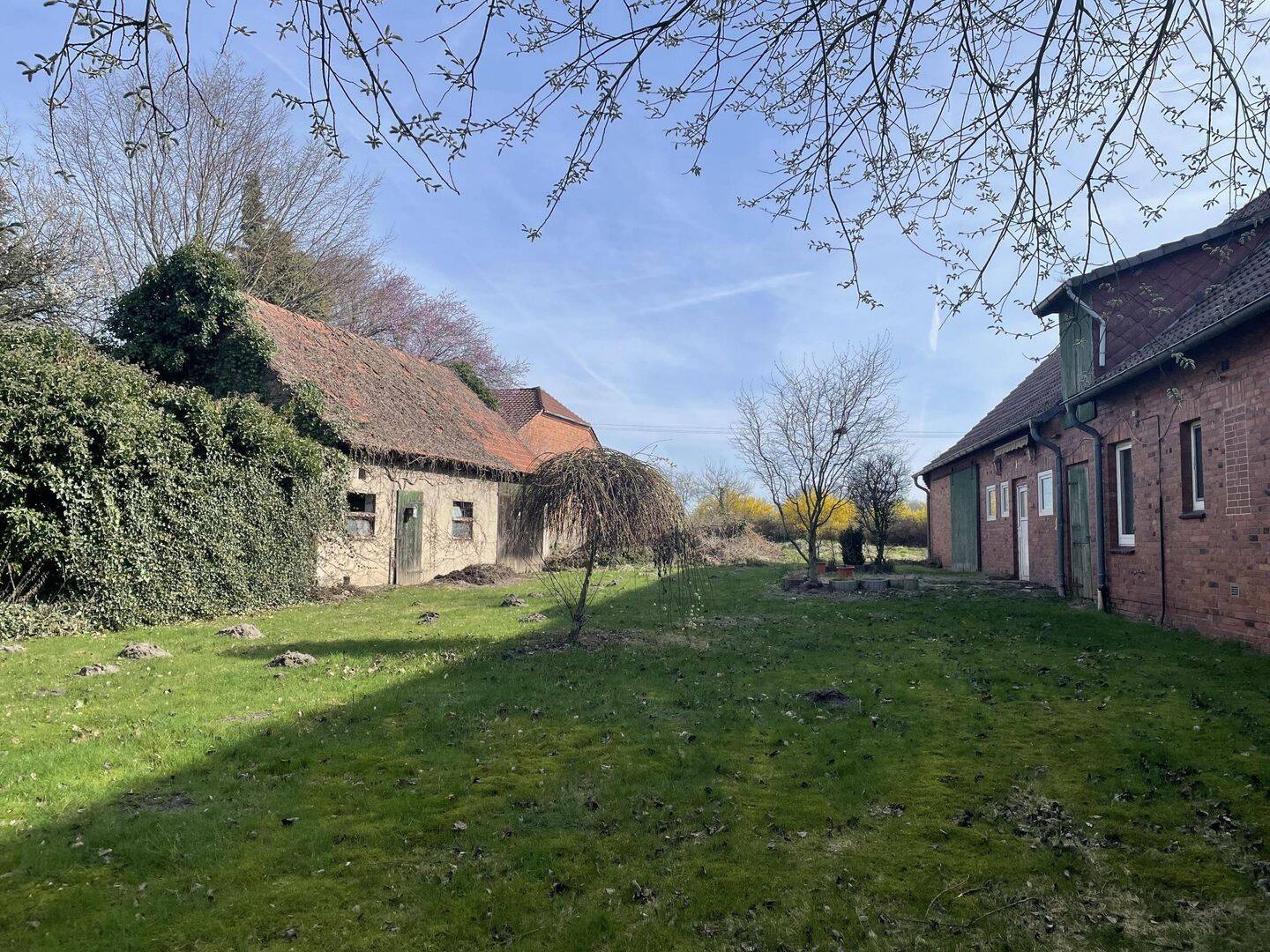 Immobilie in Sulingen - +++Einfamilienhaus mit Scheune in Klein Lessen+++ - Bild 1