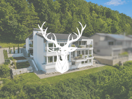Wohnung zum Kauf provisionsfrei 715.000 € 8 Zimmer 224 m² Geschoss -1/2 frei ab sofort Im Klingnauer 18 Tiengen Waldshut-Tiengen 79761