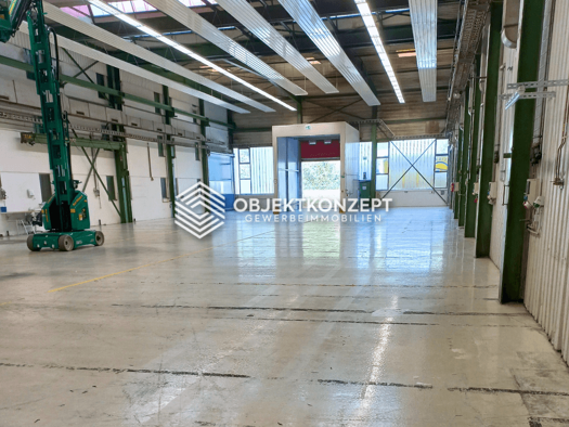 Lagerhalle zur Miete 3.700 € 875 m² Lagerfläche Gutmadingen Geisingen 78187