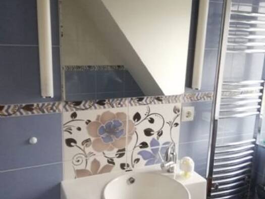 Wohnung zur Miete 450 € 3 Zimmer 53 m² Geschoss 1/2 frei ab sofort Stendellstr. 9A Eschwege 37269