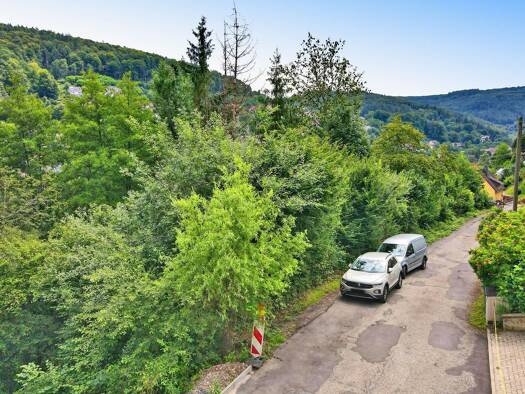 Grundstück zum Kauf 59.000 € 658 m² Grundstück Schönau 69250