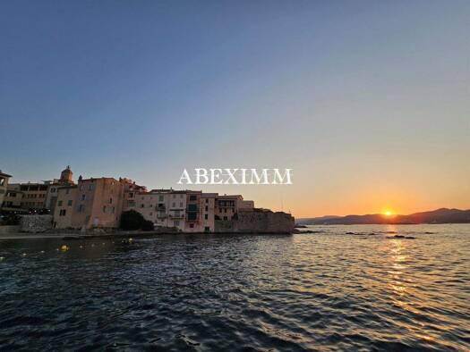 Grundstück zum Kauf 10.500.000 € 9.000 m² Grundstück Zone Ouest Urbaine Saint-Tropez 83990