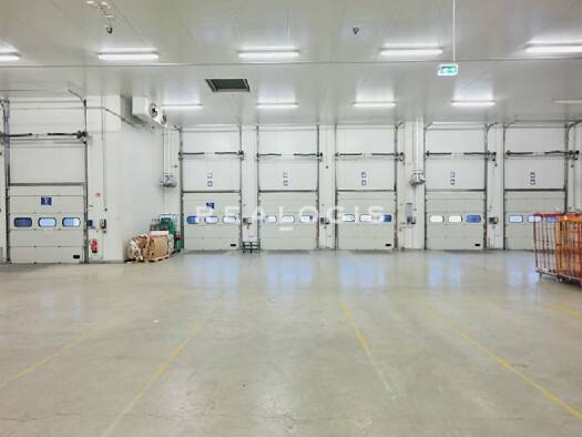 Halle/Industriefläche zur Miete 5.300 m² Lagerfläche Flörsheim Flörsheim am Main 65439