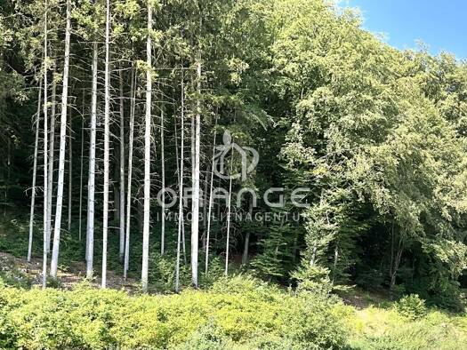 Penthouse zur Miete - Erstbezug 2.600 € 5 Zimmer 146,1 m² frei ab 01.09.2026 Sinzing Sinzing 93161