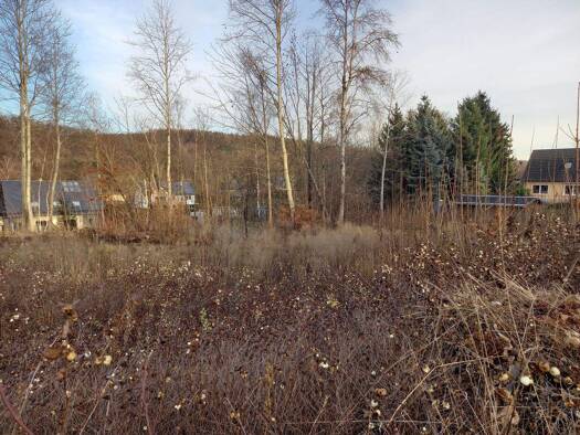 Grundstück zum Kauf 3.065 m² Grundstück frei ab sofort Hartensteiner Straße Lichtenstein 09350