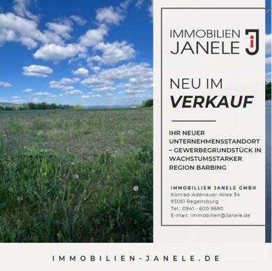 Grundstück zum Kauf 298.000 € 1.500 m² Grundstück Friesheim Barbing 93092