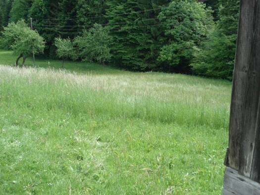 Grundstück zum Kauf 65.000 € 13.000 m² Grundstück Ribnica na Pohorju 1310