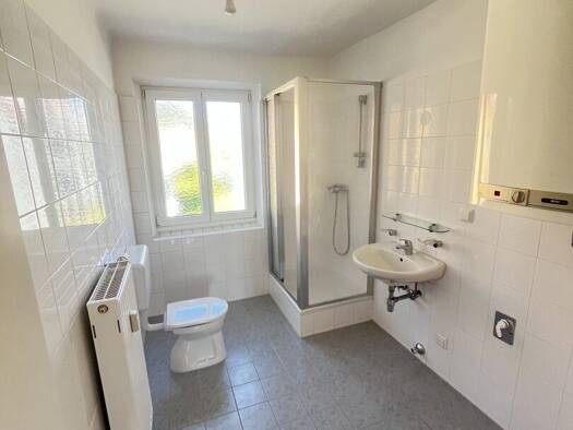 Wohnung zur Miete 251 € 2 Zimmer 54,6 m² Am Platz 10 Trofaiach 8793