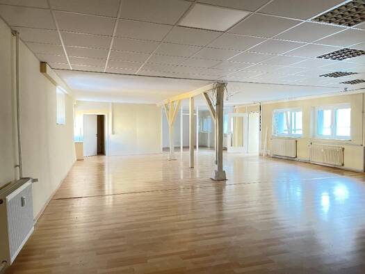 Loft zur Miete 1.250 € 1 Zimmer 120 m² Bruchsal Bruchsal 76646