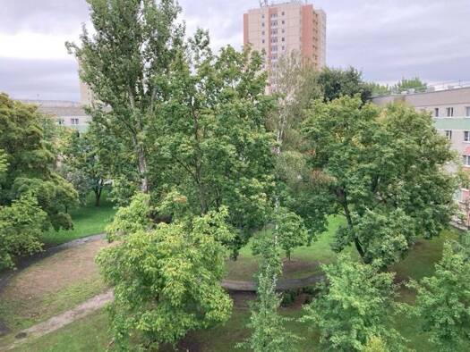 Wohnung zur Miete 311 € 2 Zimmer 43,7 m² 4. Geschoss frei ab 01.11.2026 Budapester Straße 8 Moskauer Platz Erfurt 99091