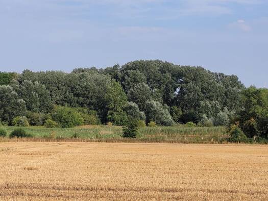 Sonstiges zum Kauf 38.956 € 19.478 m² Prenzlau 17291