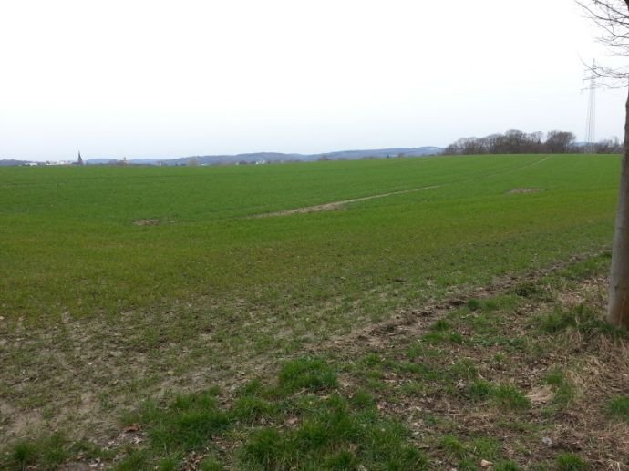 Landwirtschaftliche Fläche zum Kauf 2.327.790 € 77.593 m²<br/>Grundstück Wullen Witten 58455