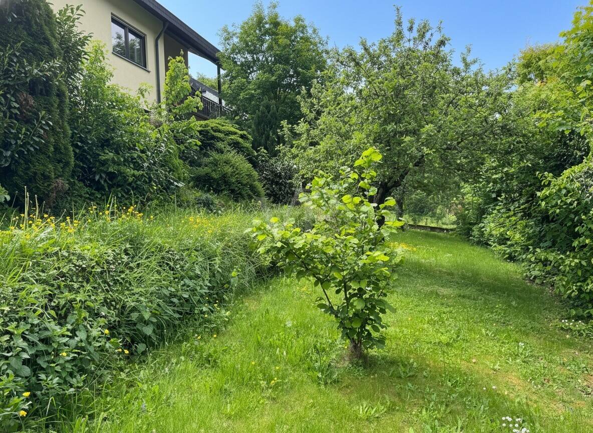 Mehrfamilienhaus zum Kauf - Ansicht 6