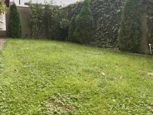 Wohnung zur Miete 1.080 € 3,5 Zimmer 66 m² Geschoss 2/6 frei ab sofort An St. Marien 3 Nordviertel Essen 45141