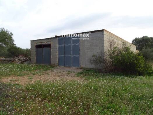 Acker-/Waldstück zum Kauf 106.000 € Xerta 43592