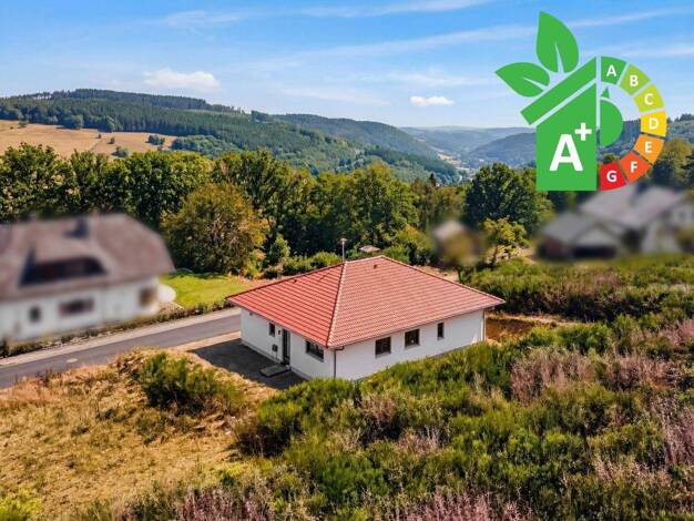 Bungalow zum Kauf 595.000 € 3 Zimmer 135 m² 748 m² Grundstück Idar-Oberstein 55743