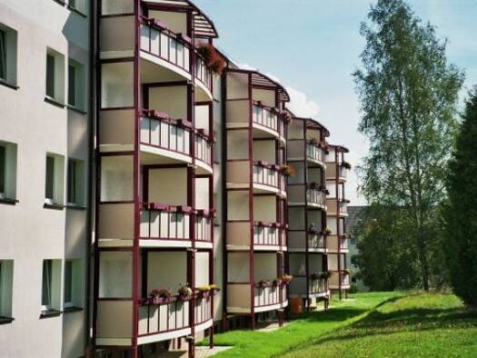 Wohnung zur Miete 270 € 2 Zimmer 48,8 m² 4. Geschoss frei ab sofort Schillerstraße 14 Adorf Adorf 08626
