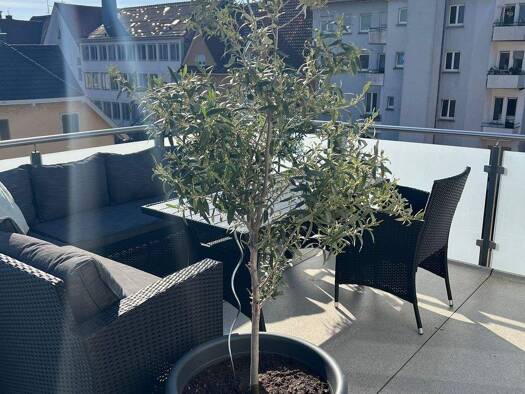 Wohnung zur Miete 1.125 € 5 Zimmer 125,5 m² Erzbergerstr. 16 Singen Singen (Hohentwiel) 78224