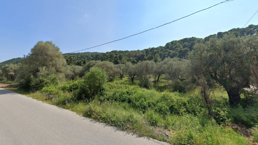 Land-/Forstwirtschaft zum Kauf 190.000 € 4.100 m² Grundstück Chalkidiki