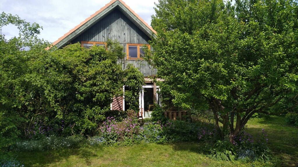 Einfamilienhaus zum Kauf provisionsfrei 525.000 € 4 Zimmer 120 m² 652 m² Grundstück Neu Wulmstorf 21629