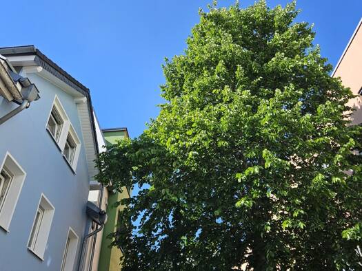 Reihenmittelhaus zum Kauf 399.000 € 7 Zimmer 181,5 m² 110 m² Grundstück Andernach 56626