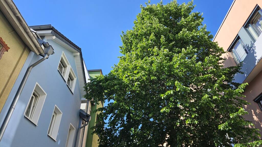 Reihenmittelhaus zum Kauf 399.000 € 7 Zimmer 181,5 m² 110 m² Grundstück Andernach 56626